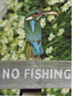 You must have a valid permit to fish Trow Pool